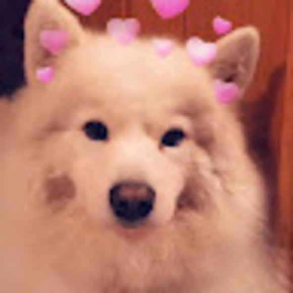 Meet your Posher, Cyndi - Picture 1 of 1